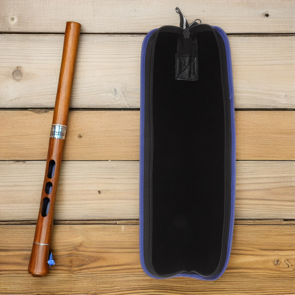 Estuche para grabadora, bolsa  - Musical Instrument Recorder reseña y precio