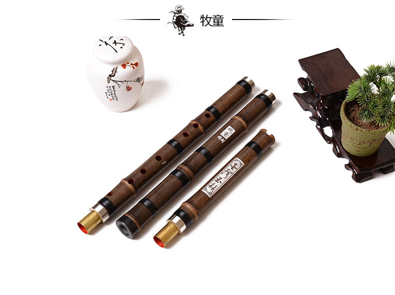 Flauta de Bambú China Xiao, In - Musical Instrument Xiao reseña y precio