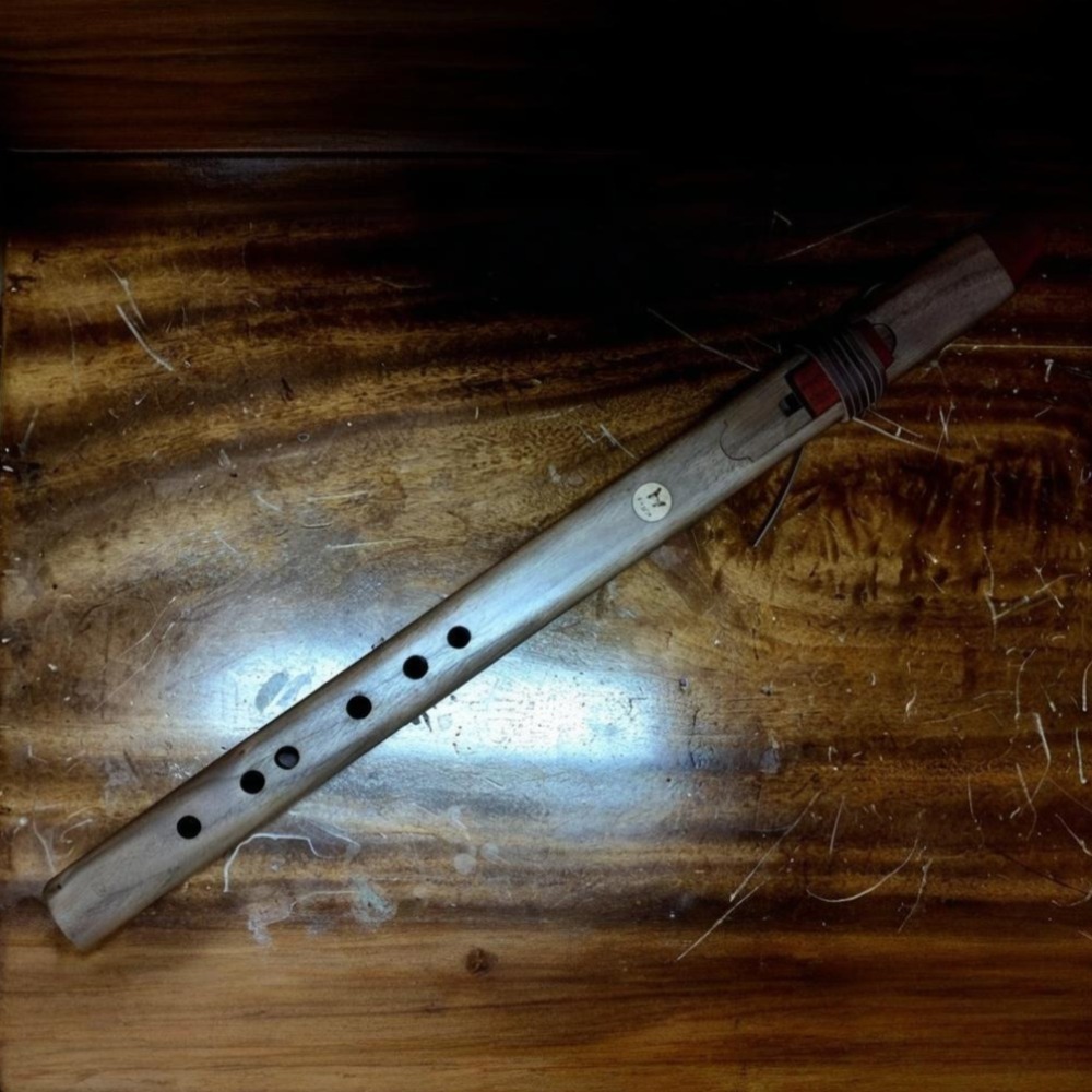 Flauta vertical de madera con  - Musical Instrument A Recorder reseña y precio