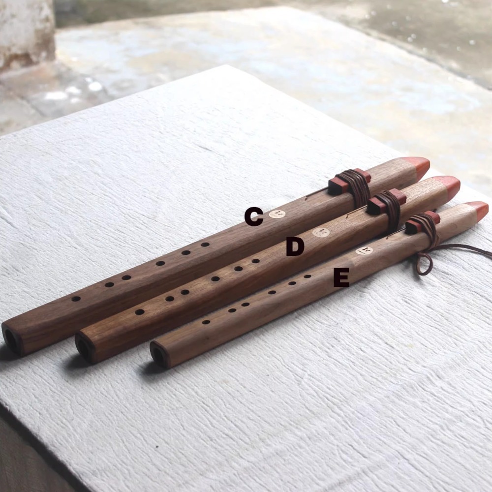Flauta vertical de madera con  - Musical Instrument A Recorder reseña y precio