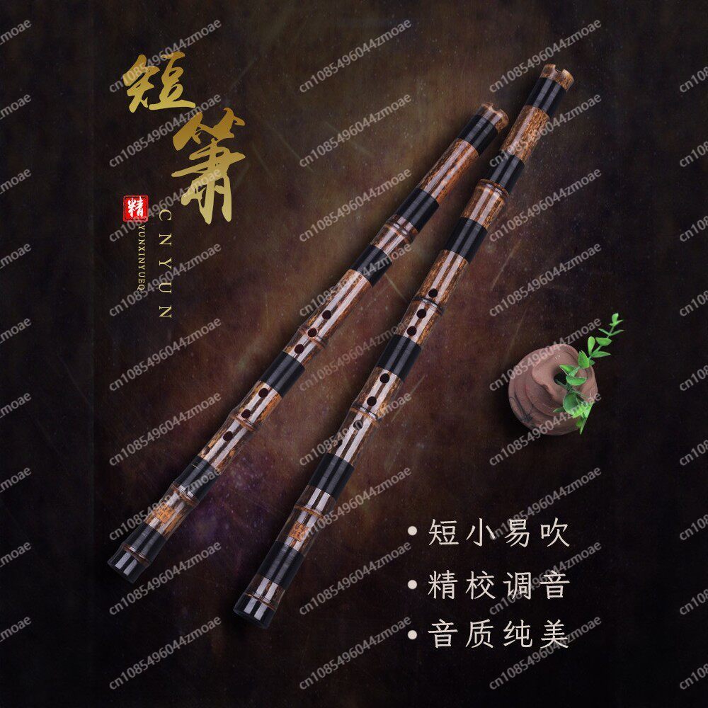 Flauta profesional de bambú de - Musical Instrument Xiao reseña y precio