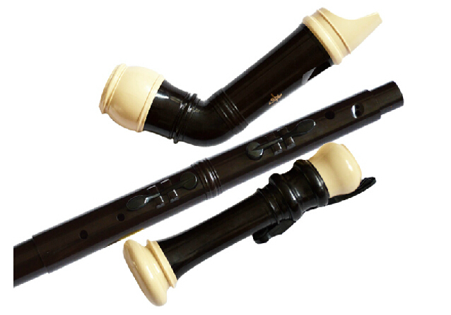 Clarinete de resina de bajo ba - Musical Instrument A Recorder reseña y precio