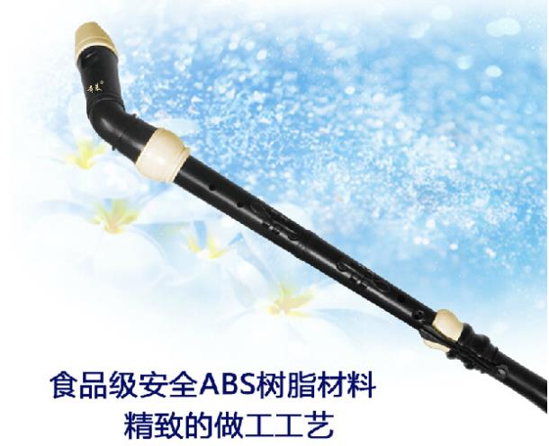 Clarinete de resina de bajo ba - Musical Instrument A Recorder reseña y precio