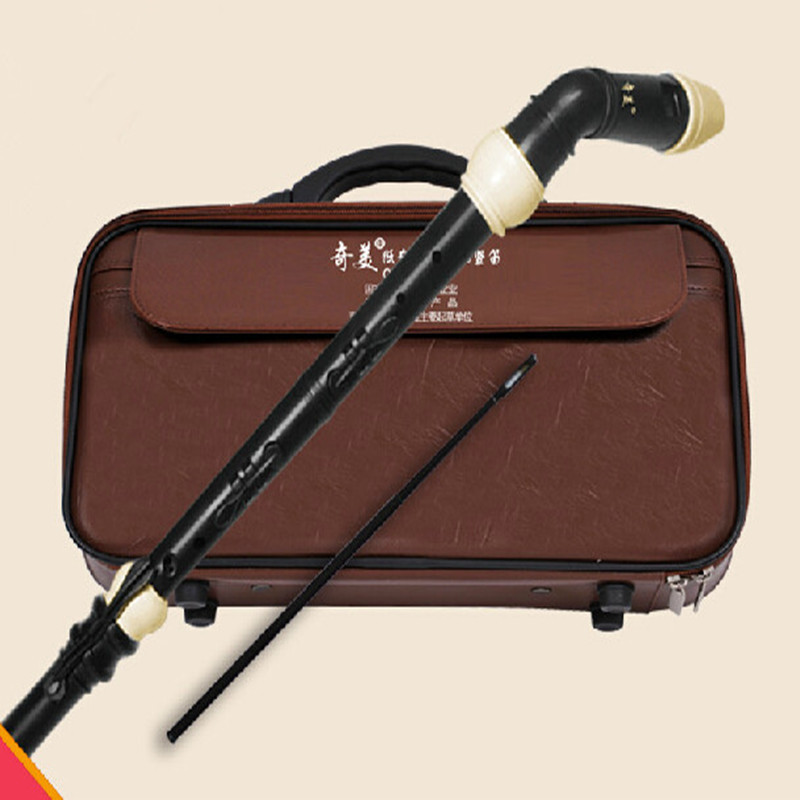 Clarinete de resina de bajo ba - Musical Instrument A Recorder reseña y precio