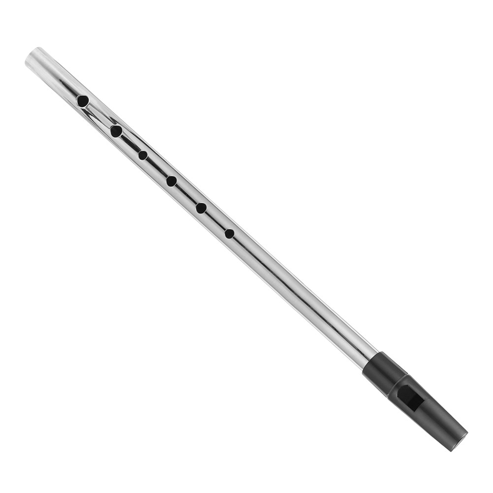 Grabadora soprano de metal en  - Musical Instrument A Recorder reseña y precio