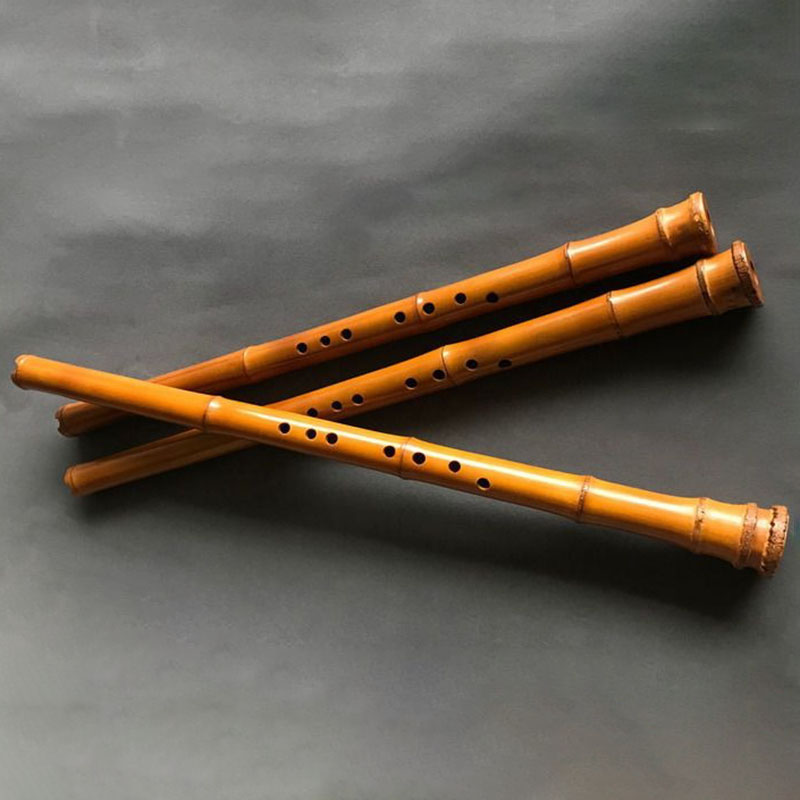 Flauta de bambú Vertical china - Musical Instrument Xiao reseña y precio