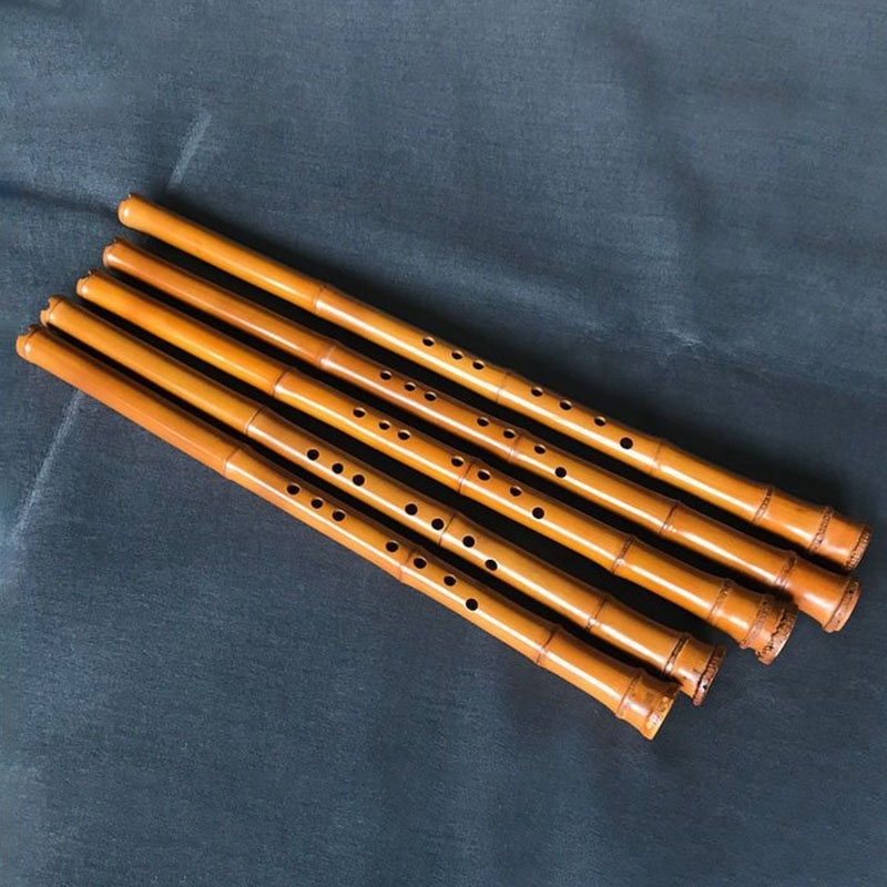 Flauta de bambú Vertical china - Musical Instrument Xiao reseña y precio