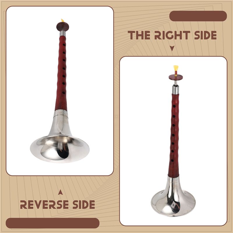A12E-Instrumento musical de vi - Musical Instrument Zurna reseña y precio